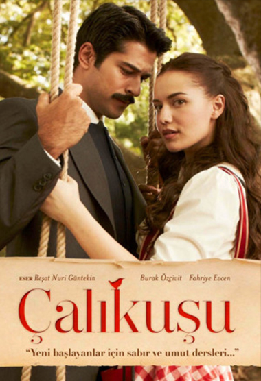 Pitulicea serial turcesc online subtitrat