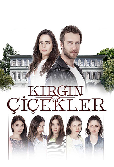 Petale de singurătate serial turcesc online subtitrat