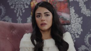 Ca un vis Episodul 8 online subtitrat