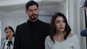 Ca un vis Episodul 10 online subtitrat