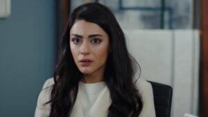 Serbet de afine Episodul 125 online subtitrat