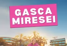 Gașca miresei Gașca miresei online subtitrat